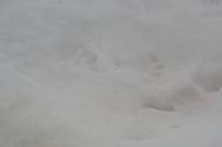 
DSC00097